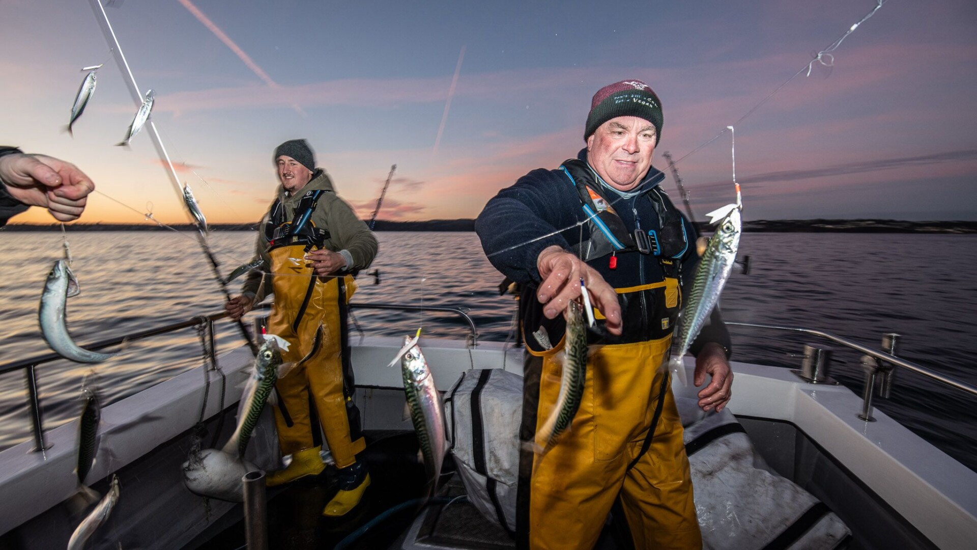 Cover image for Hook to Plate