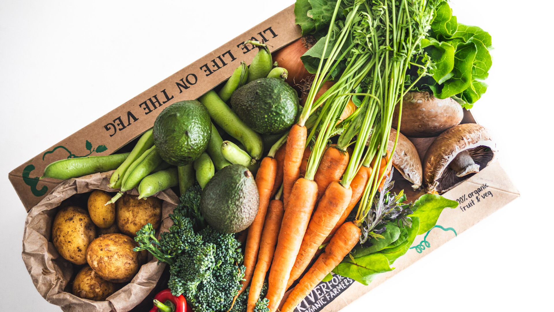 Cover image for Riverford Organic Farmers